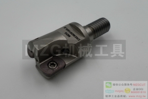 进口锁牙式ASRM机夹式快进给铣刀头装日立EPNWT060803/10T3TN-810